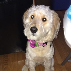 Meet your Posher, Kendra